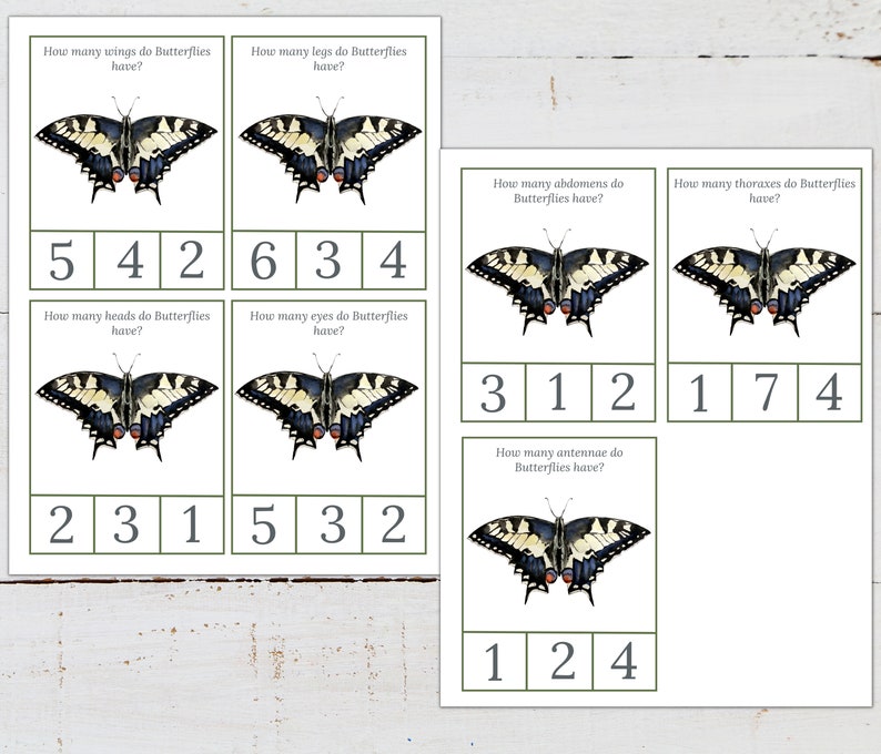 May include: A printable educational activity for kids featuring colorful illustrations of butterflies and questions about their body parts. The questions ask how many wings, legs, heads, eyes, abdomens, thoraxes, and antennae butterflies have. The answers are provided in a grid format.