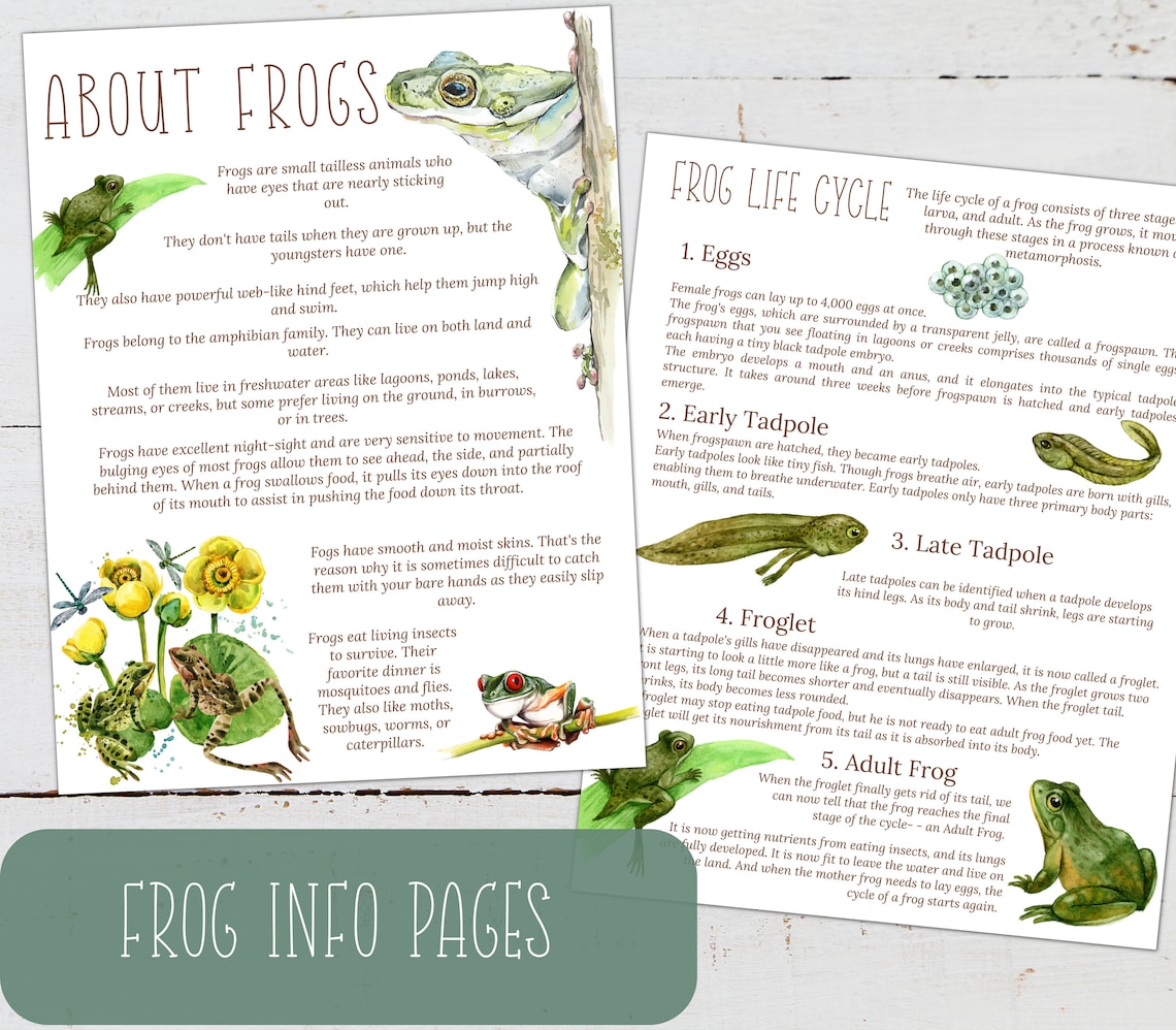 FROG Unit Study, Life Cycle, Anatomy, Nature Study, Science ...
