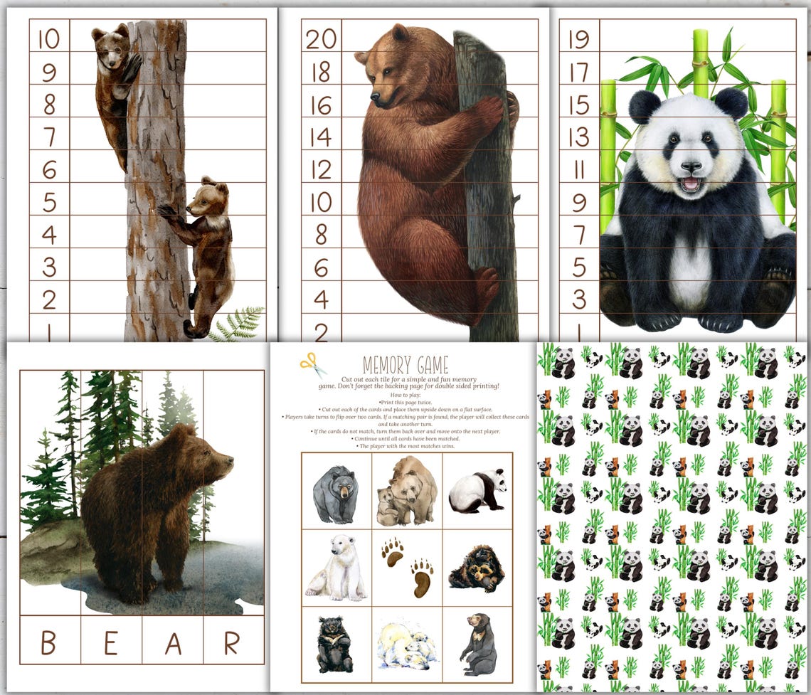 Bears Unit Study: Life Cycle, Anatomy, Homeschool Printable (instant ...