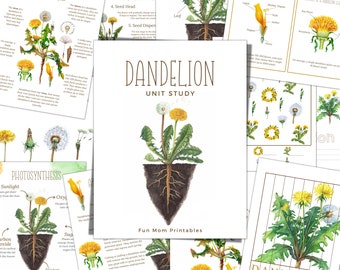 Unité d'étude DANDELION, Cycle de vie, Anatomie, Étude de la nature, Science, Écriture manuscrite, École à la maison, Montessori, TÉLÉCHARGEMENT IMMÉDIAT