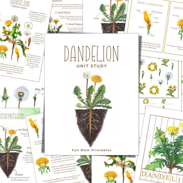 DANDELION Unit Study, Life Cycle, Anatomy, Nature Study, Science,  Handwriting, Homeschool, Montessori, INSTANT DOWNLOAD