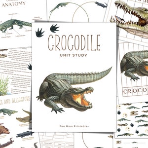 CROCODILE Unit Study, Life Cycle, Anatomy, Nature Study, Science,  Handwriting, Homeschool Printable, Montessori, INSTANT DOWNLOAD