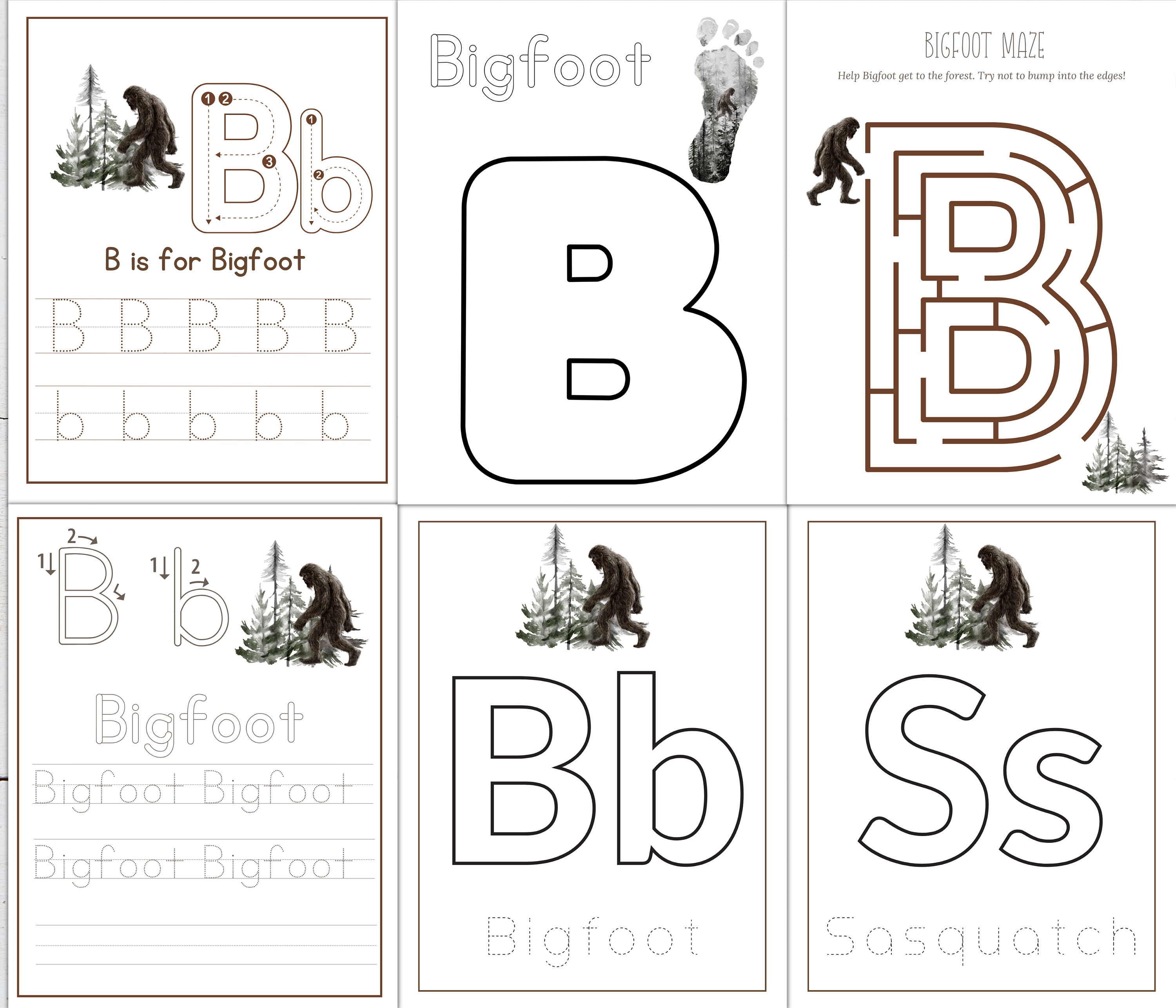 BIGFOOT Unit Study, Sasquatch, Anatomy, Nature Study, Science ...