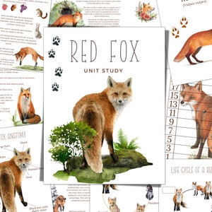 RED FOX Unit Study, Life Cycle, Anatomy, Nature Study, Science,  Handwriting, Homeschool Printable, Montessori, Instant DOWNLOAD