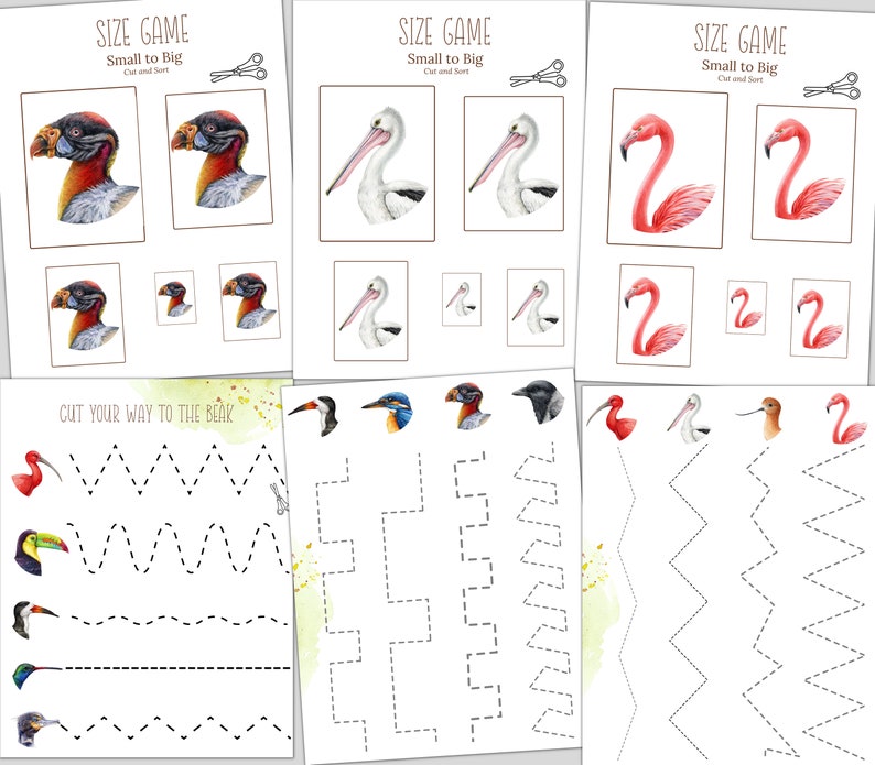 BIRD BEAKS Unit Study, Nature Study, Science, Handwriting, Homeschool ...