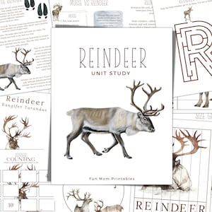 Studio unitario RENNA, Ciclo di vita, Anatomia, Studio della natura, Scienza, Scrittura a mano, Homeschool stampabile, Montessori, DOWNLOAD istantaneo