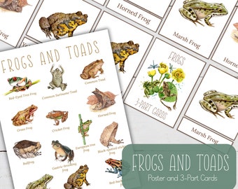 FROGS and TOADS Mini Poster + 3-Part Cards, Montessori, Instant Download