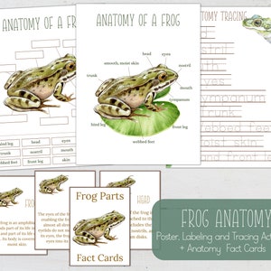 FROG Unit Study, Life Cycle, Anatomy, Nature Study, Science ...