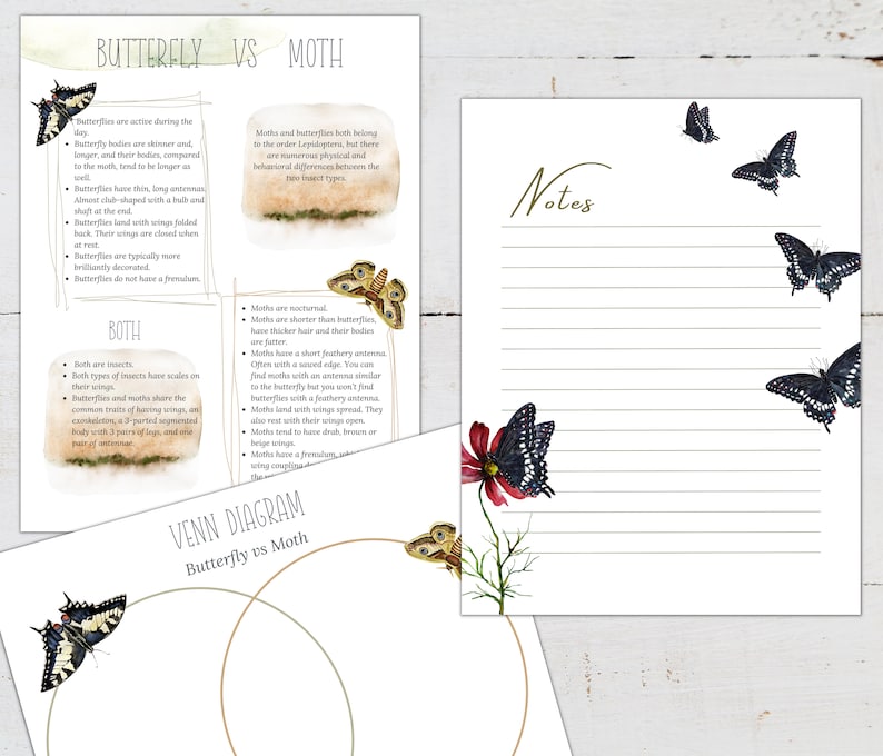 May include: A printable worksheet with a Venn diagram comparing butterflies and moths. The worksheet includes text describing the characteristics of each insect, including their antennae, wings, and activity patterns. The worksheet also includes illustrations of butterflies and moths.