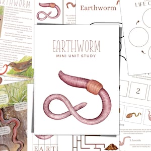 LOMBRIZ DE TIERRA: Unidad de estudio, Ciclo de vida, Anatomía, Estudio de la naturaleza, Ciencias, Escritura a mano, Educación en casa, Montessori, DESCARGA INSTANTÁNEA