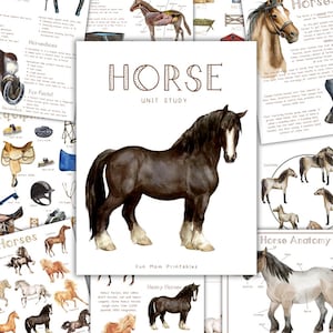 Puede incluir: Una ilustración en acuarela de un caballo negro con marcas blancas, centrada en un fondo blanco. La imagen forma parte de un "Horse Unit Study" con materiales educativos relacionados, incluyendo diagramas y texto sobre caballos.