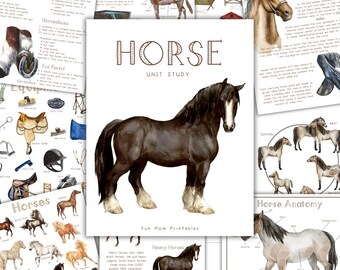 May include: A watercolor illustration of a black horse with white markings, centered on a white background. The image is part of a "Horse Unit Study" with related educational materials, including diagrams and text about horses.
