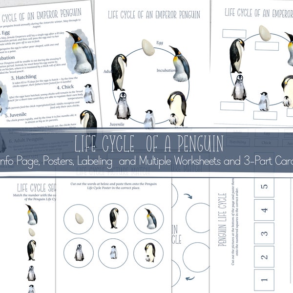 PENGUIN Life Cycle, Nature Study, Homeschool Printable, Instant Download