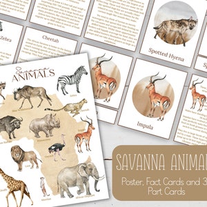 AFRIKAANSE SAVANNA-dieren miniposter + driedelige kaarten + informatiekaarten, montessori, direct downloaden