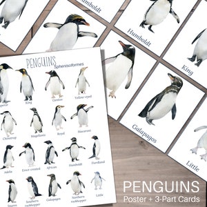 Pinguine Poster + 3-teilige Karten, Montessori, Instant Download