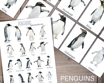 PENGUINS Poster + 3-Part Cards, Montessori, Instant Download