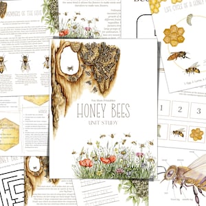 Unidad de estudio sobre las abejas y la apicultura, ciclo de vida, anatomía, estudio de la naturaleza, ciencia, escritura a mano, educación en el hogar, Montessori, DESCARGA INSTANTÁNEA