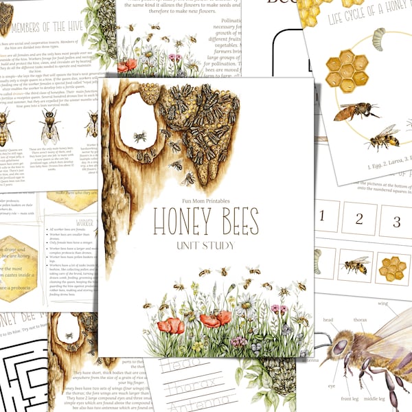 Honey Bees and Beekeeping Study Unit, Life Cycle, Anatomy, Nature Study, Science,  Handwriting, Homeschool, Montessori, INSTANT DOWNLOAD
