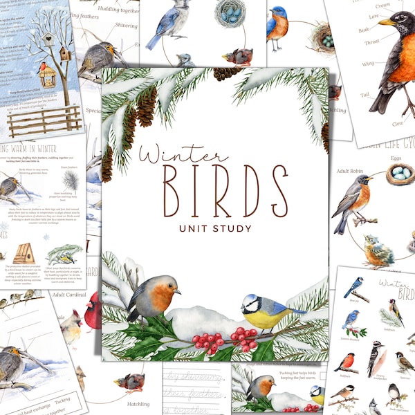 WINTER BIRDS Unit Study, Nature Study, Science,  Handwriting, Homeschool Printable, Montessori, Instant Download