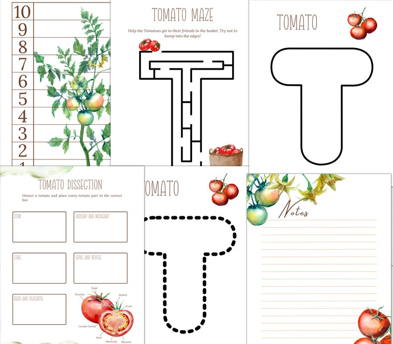 TOMATO Unit Study, Life Cycle, Anatomy, Nature Study, Science ...