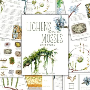 Mossor och lavar – Enhetsstudie: Hemundervisning, utskrivbar (digital nedladdning)