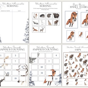 WINTER FOREST ANIMALS Unit Study, Anatomy, Nature Study, Science ...