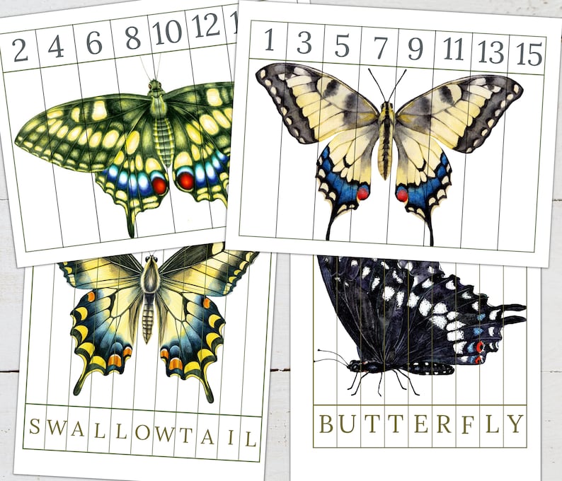 May include: A printable educational activity for kids featuring two butterfly illustrations. The butterflies are divided into sections numbered 1 through 15. The text "SWALLOWTAIL" and "BUTTERFLY" are printed below the images.