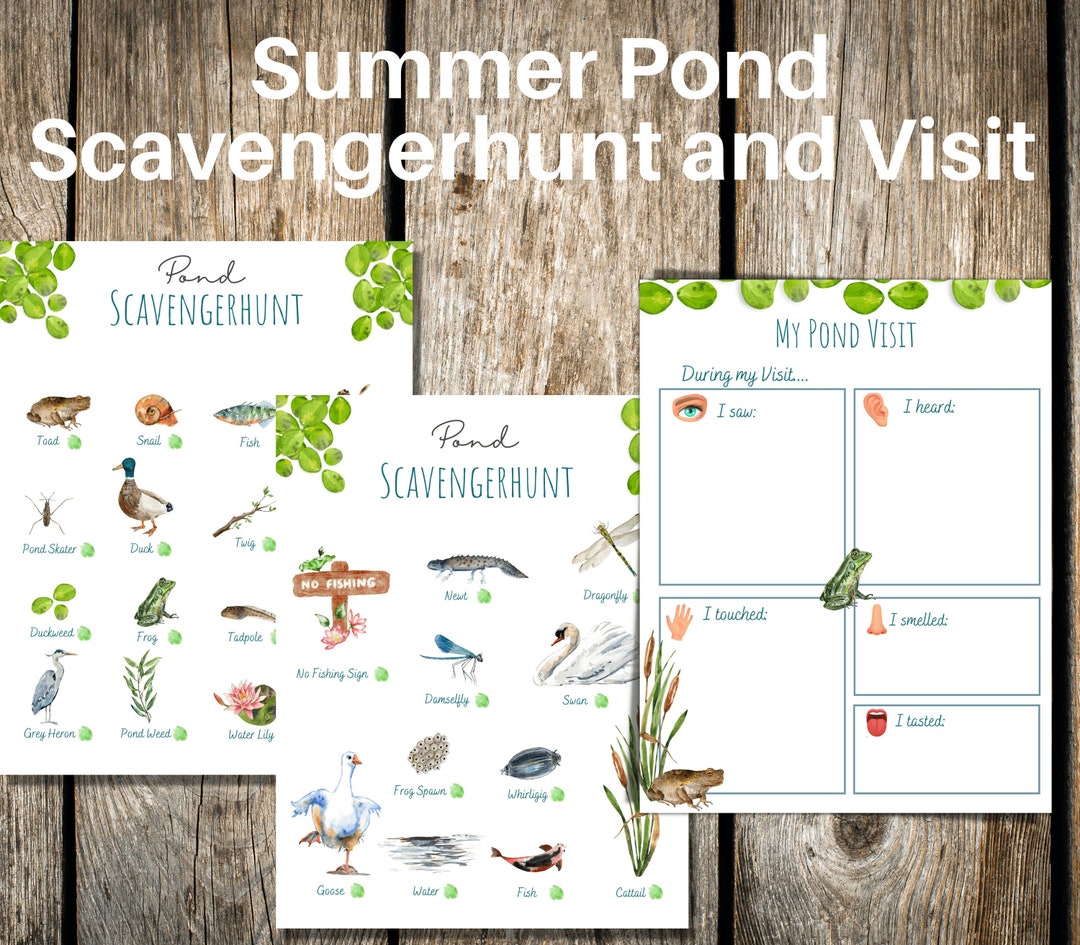 Pond Scavenger Hunt and Pond Walk Observation Activity Pages Etsy