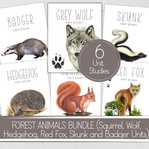 Forest Animals Unit Study Bundle: Homeschool Printable (Instant Download)