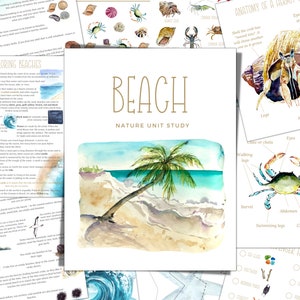 BEACH Unit Study, Anatomy, Nature Study, Science,  Handwriting, Homeschool Printable, Montessori, INSTANT DOWNLOAD