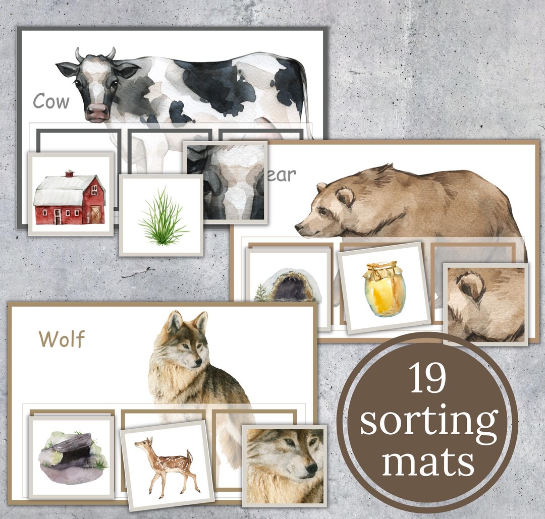 Animals Home, Diet, Skin Pattern Sorting Mats. INSTANT DOWNLOAD - Etsy