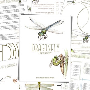 DRAGONFLY Unit Study, Life Cycle, Anatomy, Nature Study, Science,  Handwriting, Homeschool Printable, Montessori, INSTANT DOWNLOAD