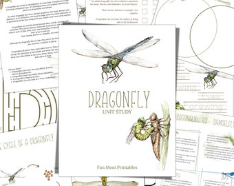 May include: A printable educational resource about dragonflies. The resource includes a dragonfly unit study, a dragonfly vs. damselfly diagram, a dragonfly life cycle, and a dragonfly word search. The resource features colorful illustrations of dragonflies.