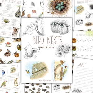 BIRD NESTS Einheitsstudie, Naturstudie, Wissenschaft, Handschrift, Homeschool Printable, Montessori, sofortiger Download