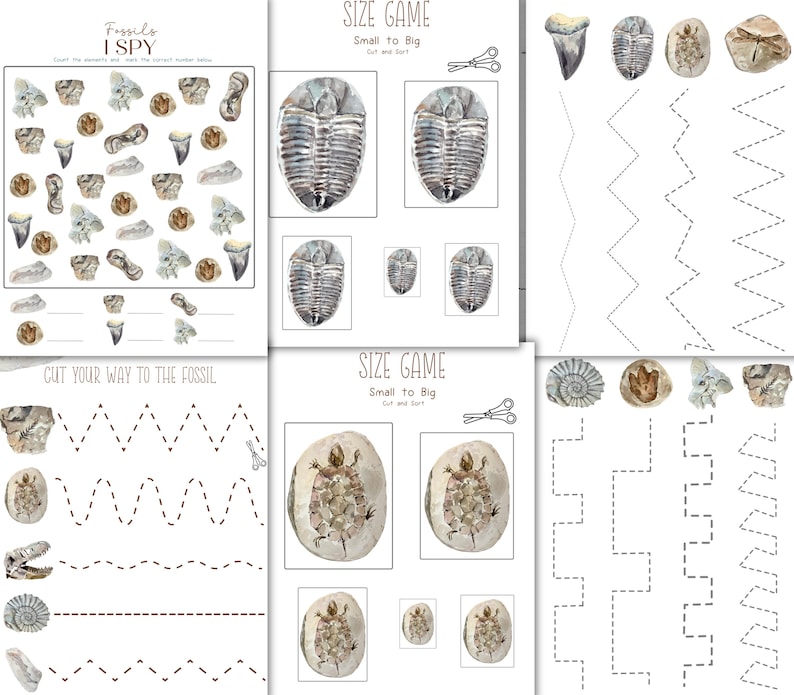 May include: A printable worksheet set for kids to learn about fossils. The set includes a "Fossils I Spy" activity, a "Size Game" with trilobites and turtle fossils, and a "Cut Your Way to the Fossil" activity.