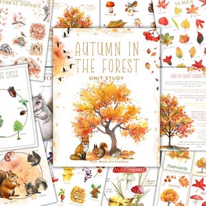 May include: A set of educational printables with an autumnal theme. The central image shows a vibrant orange tree with a fox, squirrel, and hedgehog. Surrounding pages include forest animals, leaf identification, and flashcards. The title "Autumn in the Forest" is displayed.