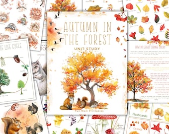Autumn in the Forest Unit Study: Nature Study and Activities, Instant Download