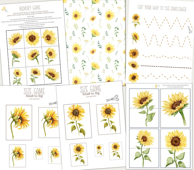 Sunflower Unit Study: Life Cycle, Anatomy, Homeschool Printable ...