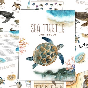 Sea Turtle Unit Study, Life Cycle, Anatomy, Nature Study, Science,  Handwriting, Homeschool Printable, Montessori, INSTANT DOWNLOAD