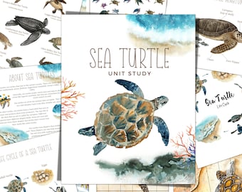 Sea Turtle Unit Study, Life Cycle, Anatomy, Nature Study, Science,  Handwriting, Homeschool Printable, Montessori, INSTANT DOWNLOAD