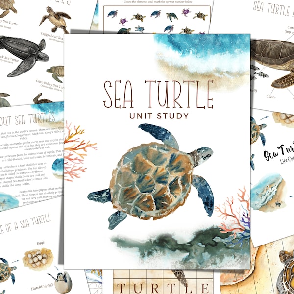 Sea Turtle Unit Study, Life Cycle, Anatomy, Nature Study, Science,  Handwriting, Homeschool Printable, Montessori, INSTANT DOWNLOAD