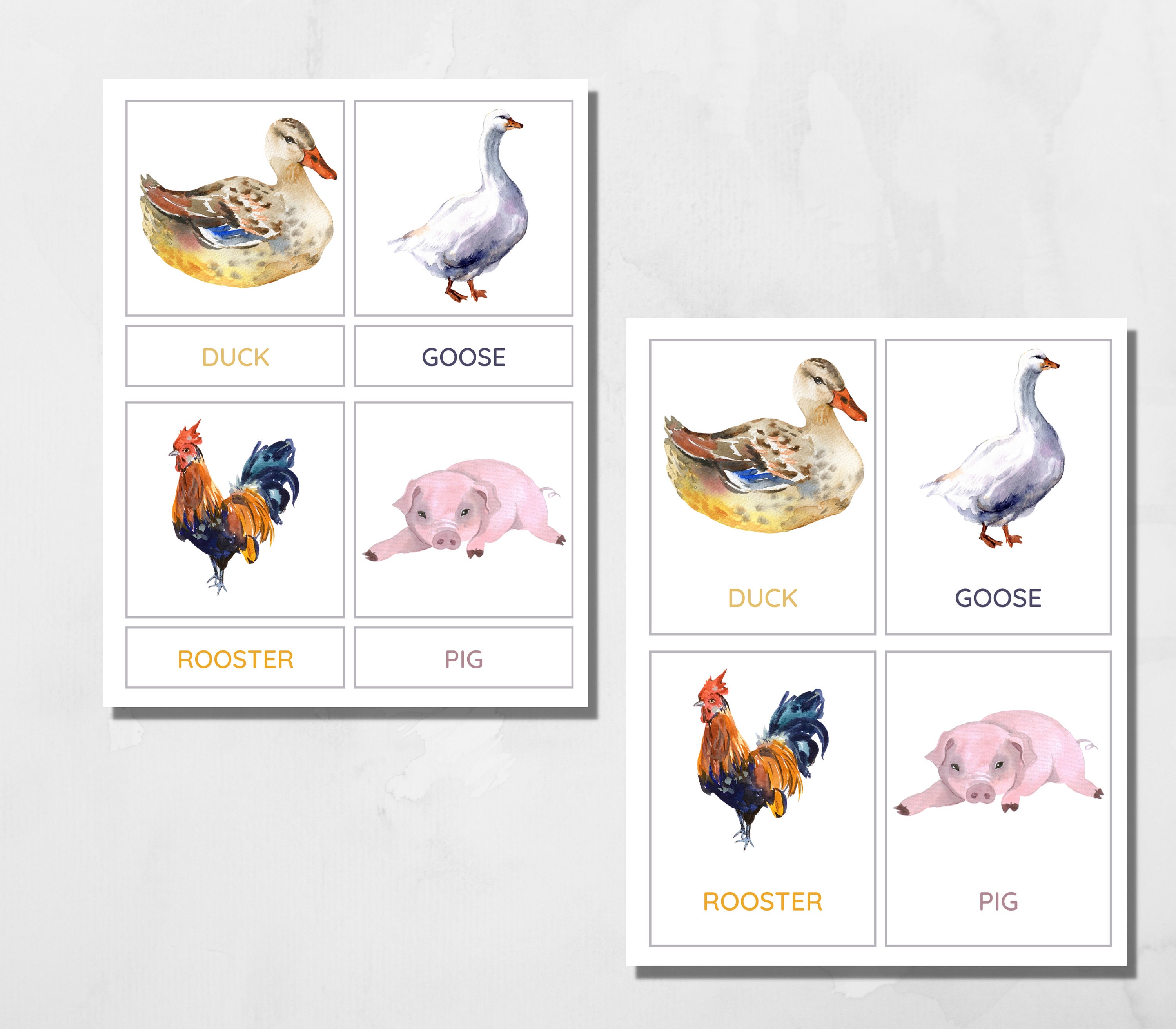 Farm Animals Montessori Cards: Printable Three Part Cards (PDF Download ...