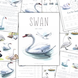 Pode incluir: Uma coleção de materiais educativos para impressão com ilustrações de cisnes. A imagem central é uma pintura em aquarela de um cisne na água. O título "SWAN UNIT STUDY" é exibido de forma proeminente. Outras páginas incluem "S is for Swan" e "SWAN VS GOOSE".