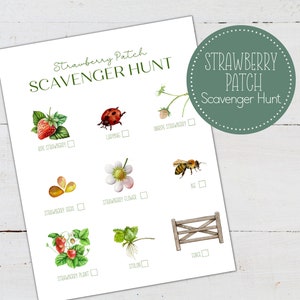 Strawberry Patch Scavenger Hunt, nature study, Outdoor Scavenger Hunt,  Montessori, Homeschool, INSTANT DOWNLOAD