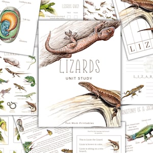LIZARD Unit Study, Anatomy, Nature Study, Science,  Handwriting, Homeschool Printable, Montessori, INSTANT DOWNLOAD