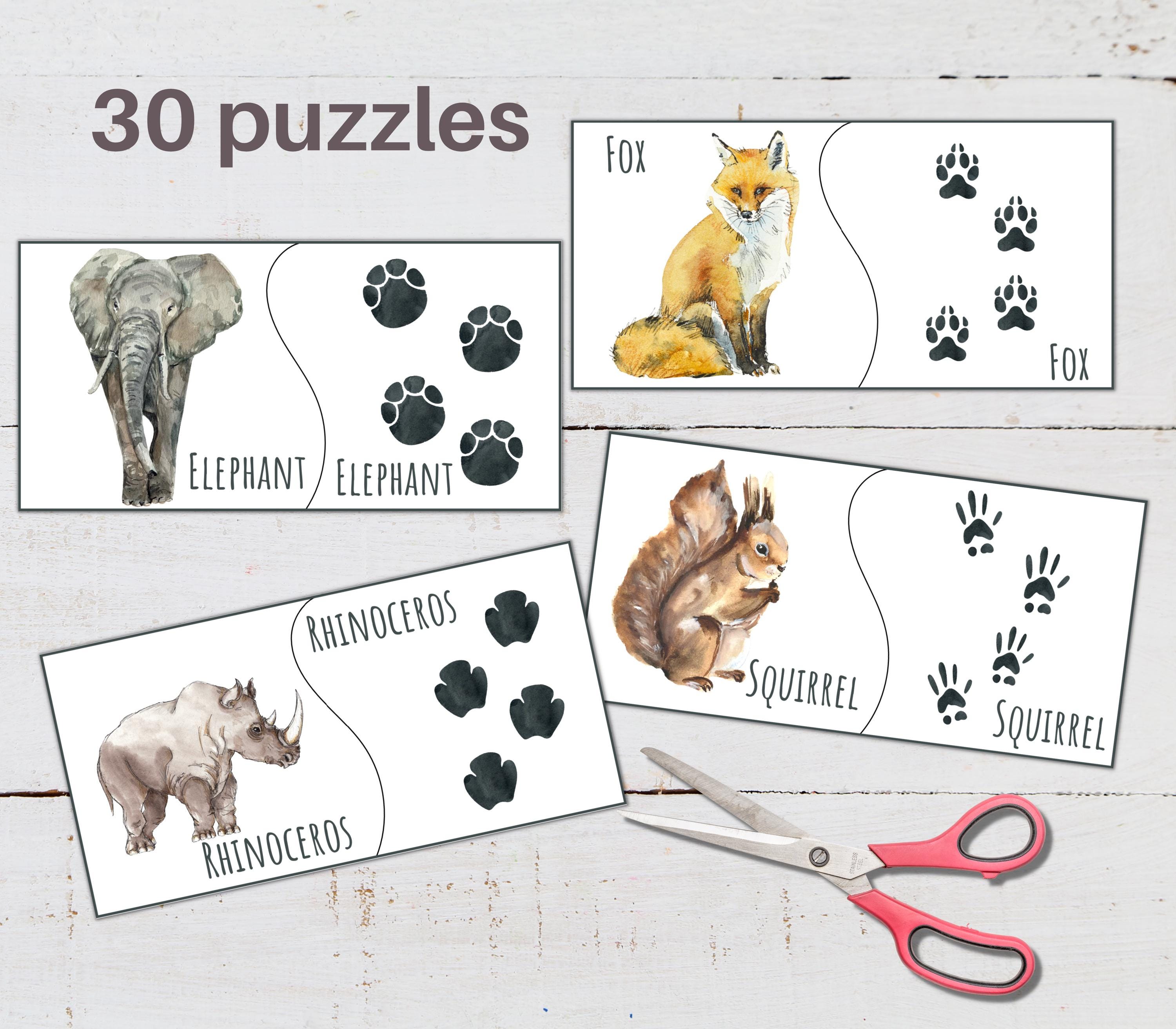 Animal Tracks Poster Set: Nature Study Cards & Puzzles (digital ...