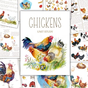 Chicken Unit Study , Life Cycle, Anatomy, DIGITAL DOWNLOAD