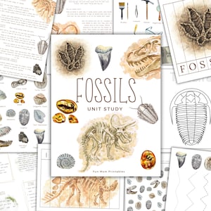 Étude de l'unité FOSSILES, anatomie, étude de la nature, science, écriture manuscrite, école à la maison imprimable, Montessori, TÉLÉCHARGEMENT IMMÉDIAT