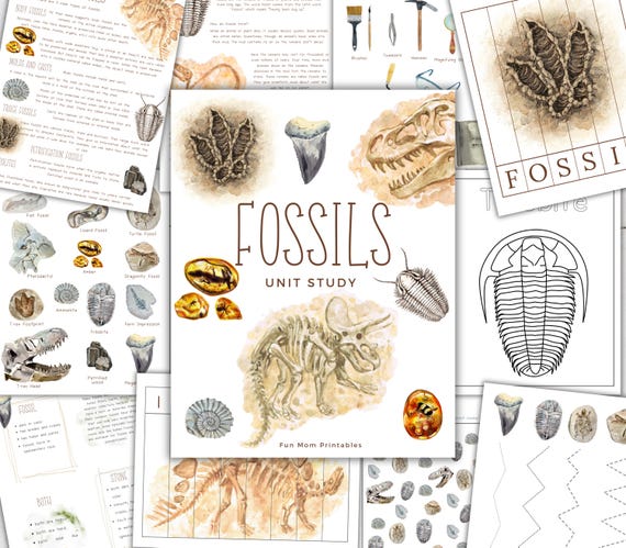 FOSSILS Unit Study, Anatomy, Nature Study, Science,  Handwriting, Homeschool Printable, Montessori, INSTANT DOWNLOAD