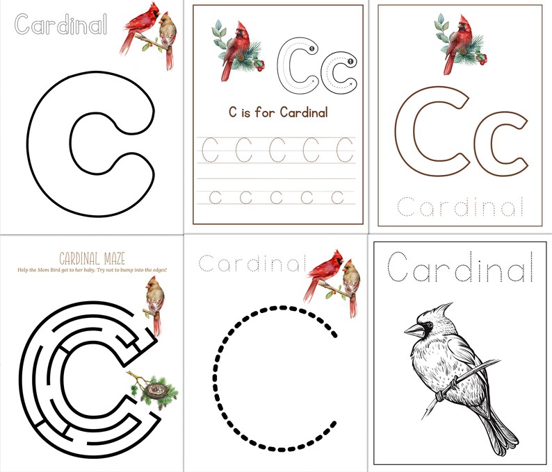 Cardinal Letter R Northern Cardinal Unit Study: Homeschool Science Printable (instant ...